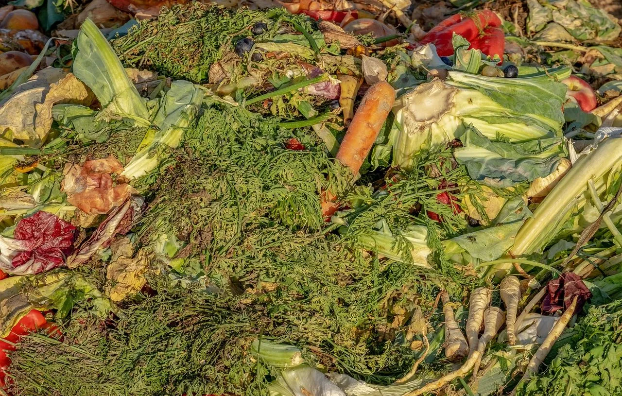 Gaspillage alimentaire : Cette ville des Hauts-de-Seine saluée pour son engagement par l’ONU